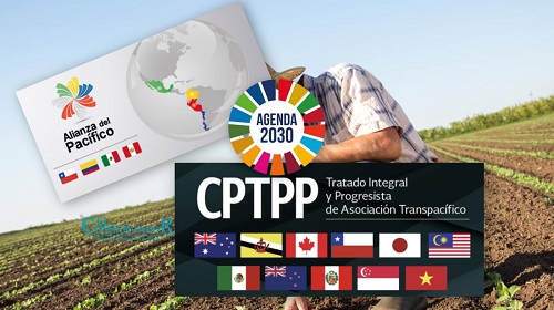 La Alianza del Pacífico es una integración estratégica o un salto al vacío para Costa Rica